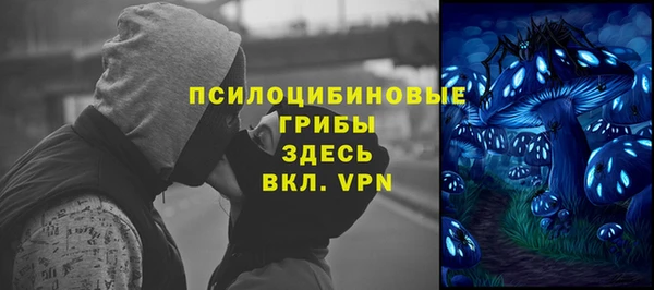 шишки Алзамай