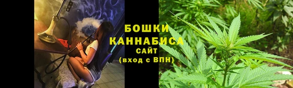 шишки Алзамай