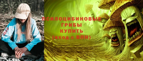 шишки Алзамай