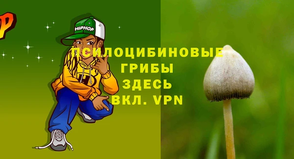 твердый Алексеевка