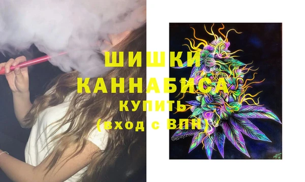 шишки Алзамай